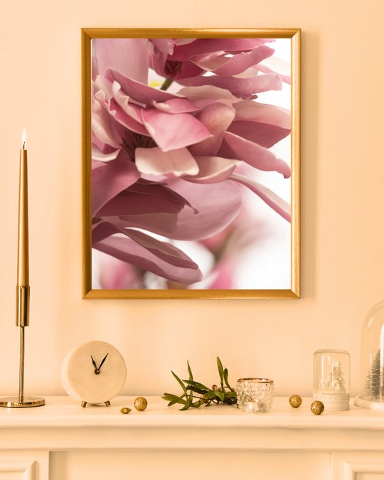 Romantic Magnolia in Pinks