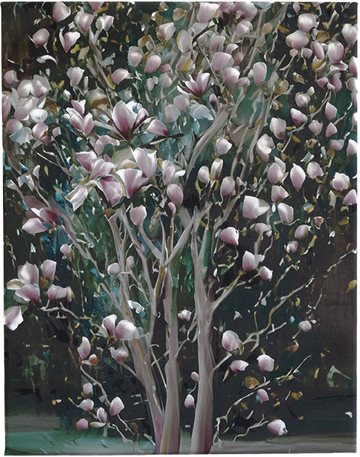 Full Bloom Magnolia Canvas Wall Art