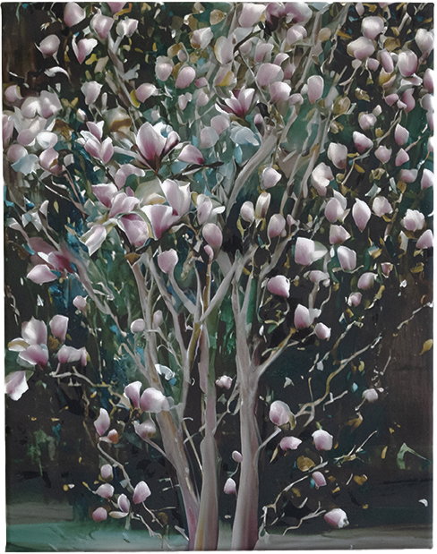 Full Bloom Magnolia Canvas Wall Art