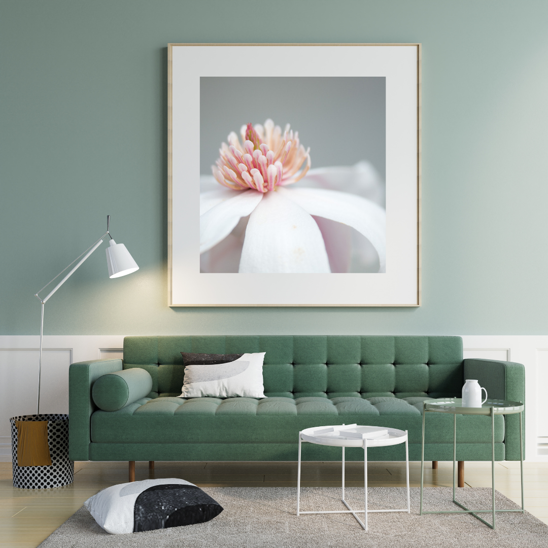 Magnolia Photograph No. 12