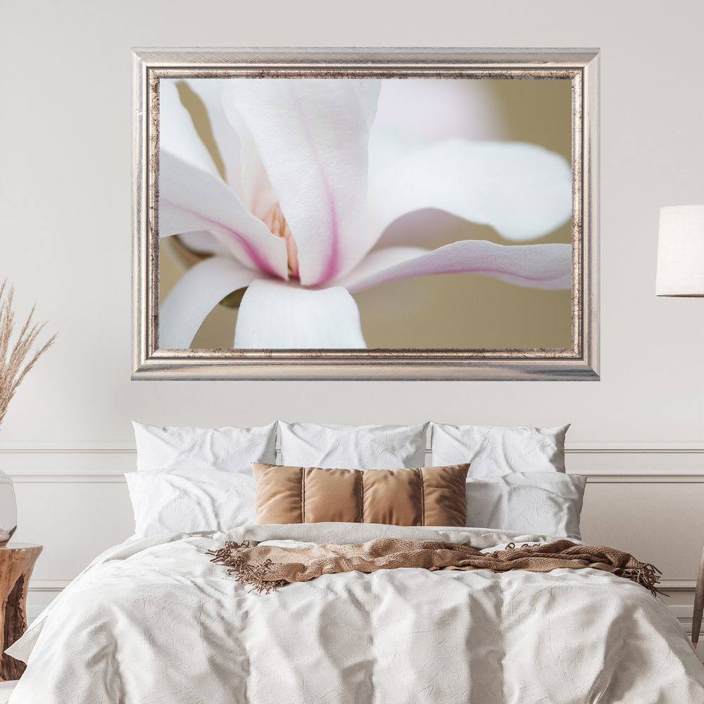 Magnolia Photograph No. 1