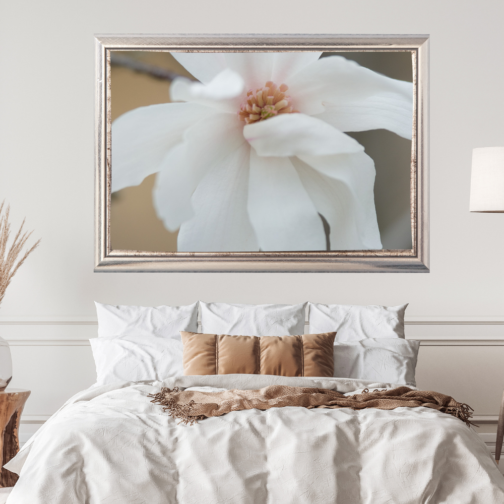 Magnolia Photograph No. 2