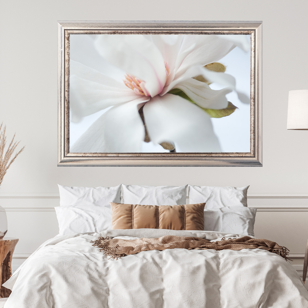 Magnolia Photograph No. 3